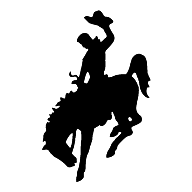 Western Stride Sales